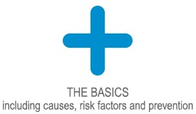 THE BASICS  including causes, risk factors and prevention